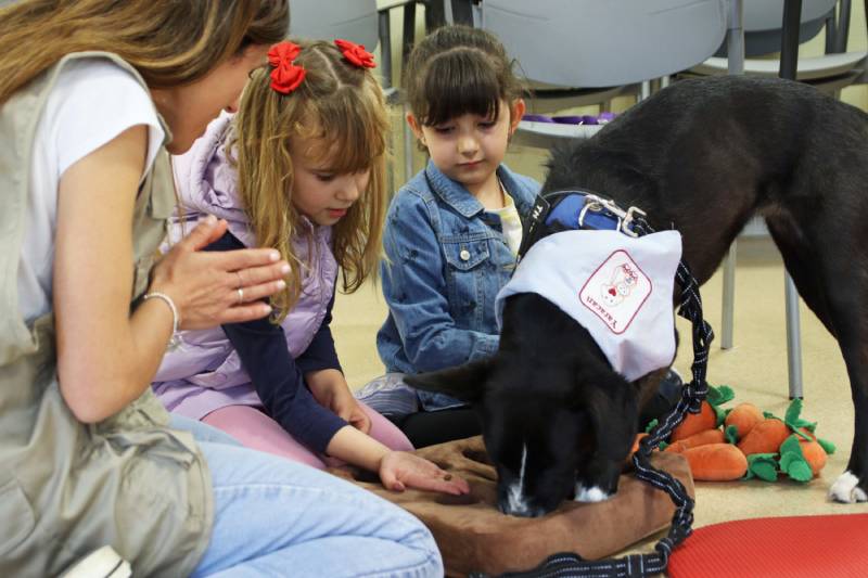 terapia con animales autismo