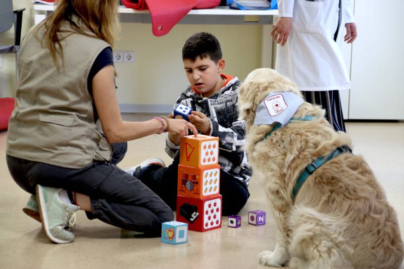 terapia con animales autismo